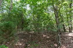 property photo for Timber Ridge Tract 45, 2.66 acres for sale in McIntosh County, Oklahoma