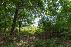 property photo for Timber Ridge Tract 45, 2.66 acres for sale in McIntosh County, Oklahoma