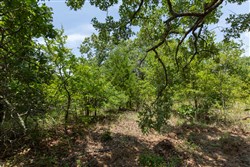 property photo for Timber Ridge Tract 46, 2.5 acres for sale in McIntosh County, Oklahoma