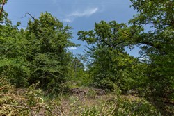 property photo for Timber Ridge Tract 46, 2.5 acres for sale in McIntosh County, Oklahoma