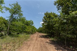 property photo for Timber Ridge Tract 47, 2.65 acres for sale in McIntosh County, Oklahoma