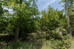 property photo for Timber Ridge Tract 47, 2.65 acres for sale in McIntosh County, Oklahoma