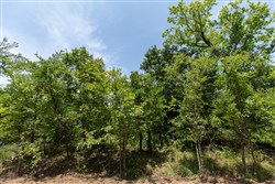 property photo for Timber Ridge Tract 47, 2.65 acres for sale in McIntosh County, Oklahoma