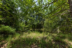 property photo for Timber Ridge Tract 47, 2.65 acres for sale in McIntosh County, Oklahoma