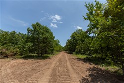property photo for Timber Ridge Tract 48, 2.65 acres for sale in McIntosh County, Oklahoma