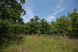 property photo for Timber Ridge Tract 48, 2.65 acres for sale in McIntosh County, Oklahoma