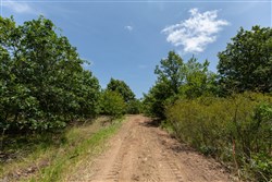 property photo for Timber Ridge Tract 48, 2.65 acres for sale in McIntosh County, Oklahoma