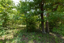 property photo for Timber Ridge Tract 48, 2.65 acres for sale in McIntosh County, Oklahoma