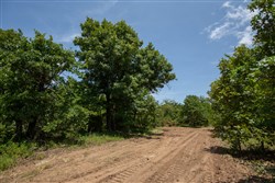 property photo for Timber Ridge Tract 48, 2.65 acres for sale in McIntosh County, Oklahoma