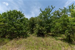 property photo for Timber Ridge Tract 48, 2.65 acres for sale in McIntosh County, Oklahoma