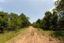 property photo for Timber Ridge Tract 49, 2.7 acres for sale in McIntosh County, Oklahoma