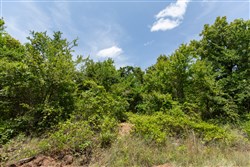property photo for Timber Ridge Tract 49, 2.7 acres for sale in McIntosh County, Oklahoma