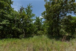 property photo for Timber Ridge Tract 49, 2.7 acres for sale in McIntosh County, Oklahoma