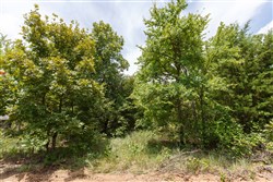 property photo for Timber Ridge Tract 5, 2.57 acres for sale in McIntosh County, Oklahoma