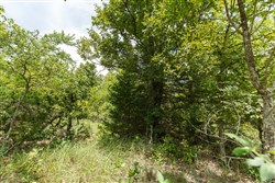 property photo for Timber Ridge Tract 5, 2.57 acres for sale in McIntosh County, Oklahoma