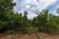 property photo for Timber Ridge Tract 5, 2.57 acres for sale in McIntosh County, Oklahoma