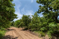 property photo for Timber Ridge Tract 50, 2.75 acres for sale in McIntosh County, Oklahoma