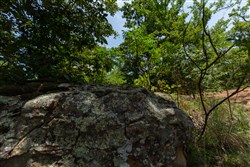 property photo for Timber Ridge Tract 50, 2.75 acres for sale in McIntosh County, Oklahoma