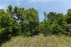 property photo for Timber Ridge Tract 51, 2.65 acres for sale in McIntosh County, Oklahoma