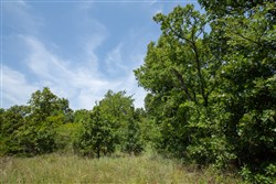 property photo for Timber Ridge Tract 51, 2.65 acres for sale in McIntosh County, Oklahoma