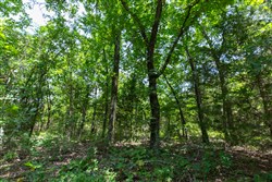 property photo for Timber Ridge Tract 52, 2.78 acres for sale in McIntosh County, Oklahoma