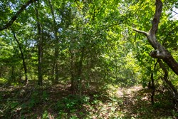 property photo for Timber Ridge Tract 52, 2.78 acres for sale in McIntosh County, Oklahoma