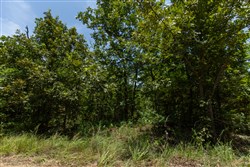 property photo for Timber Ridge Tract 52, 2.78 acres for sale in McIntosh County, Oklahoma
