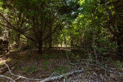 property photo for Timber Ridge Tract 53, 2.74 acres for sale in McIntosh County, Oklahoma