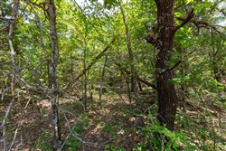property photo for Timber Ridge Tract 53, 2.74 acres for sale in McIntosh County, Oklahoma
