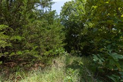property photo for Timber Ridge Tract 53, 2.74 acres for sale in McIntosh County, Oklahoma