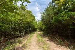 property photo for Timber Ridge Tract 54, 3.01 acres for sale in McIntosh County, Oklahoma