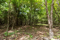 property photo for Timber Ridge Tract 54, 3.01 acres for sale in McIntosh County, Oklahoma