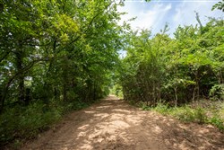 property photo for Timber Ridge Tract 54, 3.01 acres for sale in McIntosh County, Oklahoma
