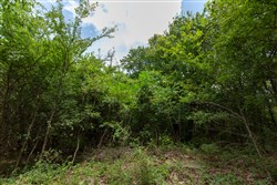 property photo for Timber Ridge Tract 54, 3.01 acres for sale in McIntosh County, Oklahoma