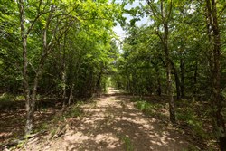 property photo for Timber Ridge Tract 54, 3.01 acres for sale in McIntosh County, Oklahoma