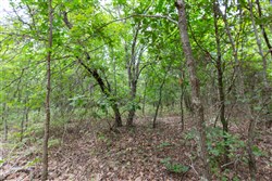 property photo for Timber Ridge Tract 54, 3.01 acres for sale in McIntosh County, Oklahoma
