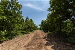 property photo for Timber Ridge Tract 58, 3.05 acres for sale in McIntosh County, Oklahoma