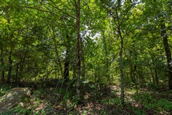 property photo for Timber Ridge Tract 58, 3.05 acres for sale in McIntosh County, Oklahoma