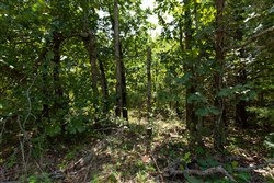 property photo for Timber Ridge Tract 59, 2.7 acres for sale in McIntosh County, Oklahoma