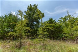 property photo for Timber Ridge Tract 59, 2.7 acres for sale in McIntosh County, Oklahoma