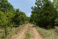 property photo for Timber Ridge Tract 59, 2.7 acres for sale in McIntosh County, Oklahoma