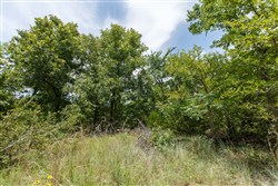 property photo for Timber Ridge Tract 6, 2.57 acres for sale in McIntosh County, Oklahoma