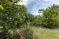 property photo for Timber Ridge Tract 6, 2.57 acres for sale in McIntosh County, Oklahoma