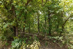 property photo for Timber Ridge Tract 6, 2.57 acres for sale in McIntosh County, Oklahoma