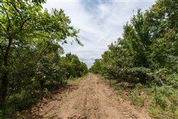 property photo for Timber Ridge Tract 6, 2.57 acres for sale in McIntosh County, Oklahoma