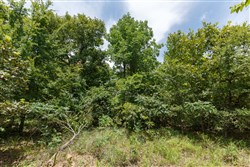 property photo for Timber Ridge Tract 6, 2.57 acres for sale in McIntosh County, Oklahoma
