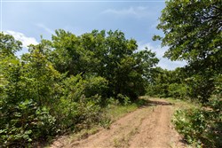 property photo for Timber Ridge Tract 60, 3.1 acres for sale in McIntosh County, Oklahoma