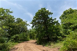 property photo for Timber Ridge Tract 60, 3.1 acres for sale in McIntosh County, Oklahoma