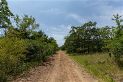 property photo for Timber Ridge Tract 61, 2.98 acres for sale in McIntosh County, Oklahoma