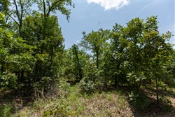 property photo for Timber Ridge Tract 61, 2.98 acres for sale in McIntosh County, Oklahoma